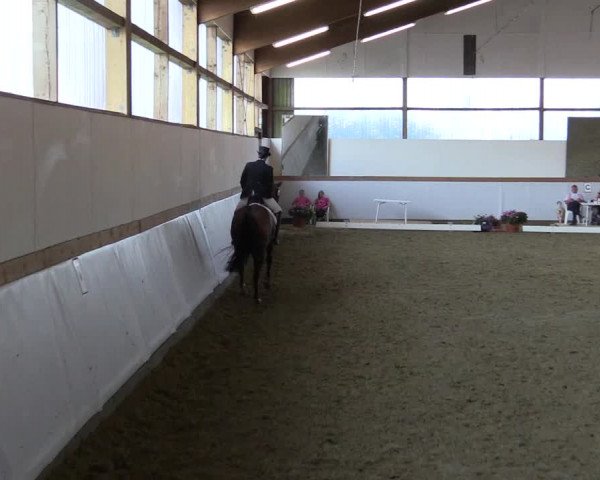 Waltroper Reitertage 2015