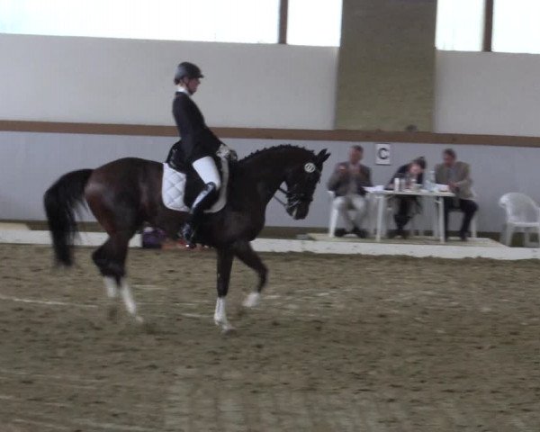 Waltroper Reitertage 2015