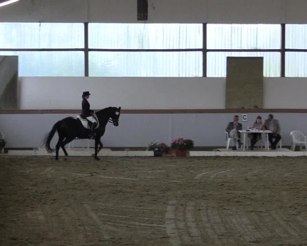 Waltroper Reitertage 2015