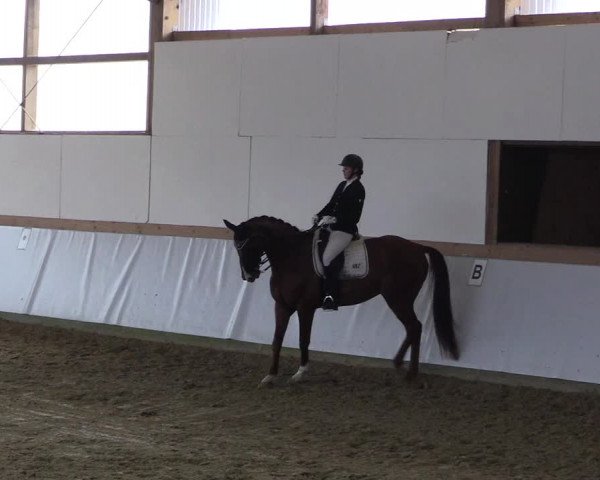Waltroper Reitertage 2015