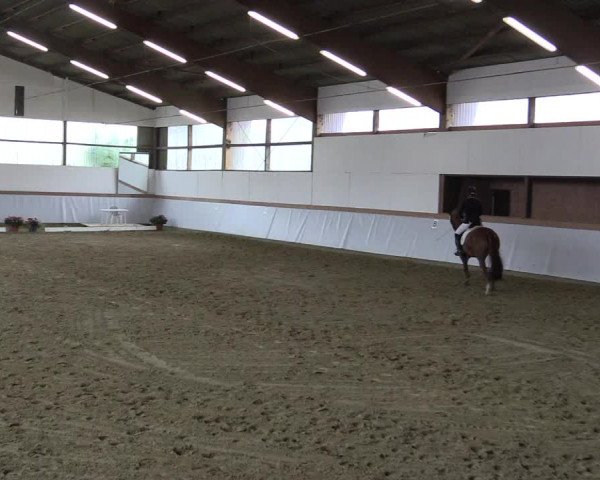 Waltroper Reitertage 2015