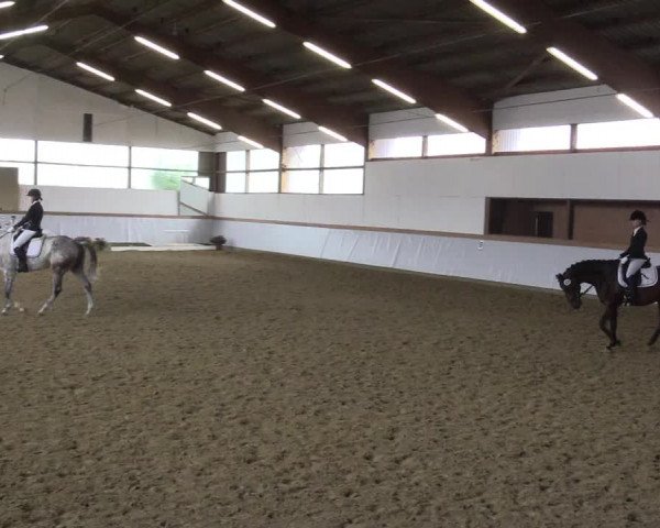 Waltroper Reitertage 2015