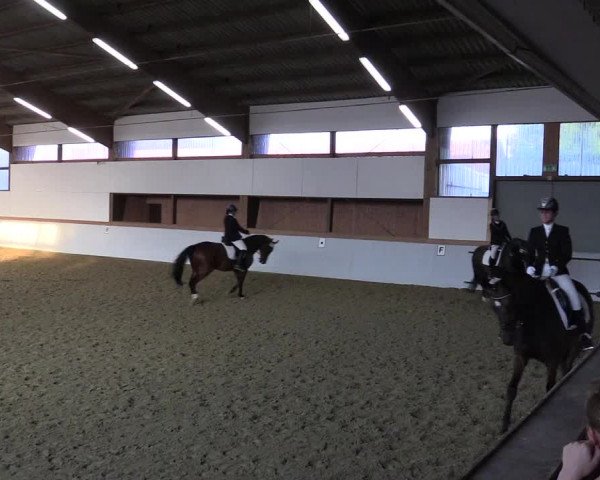 Waltroper Reitertage 2015