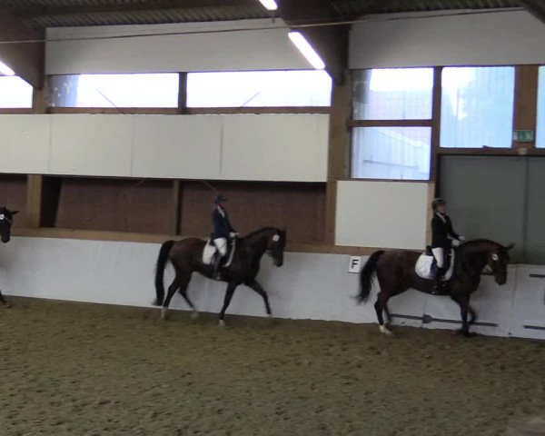 Waltroper Reitertage 2015