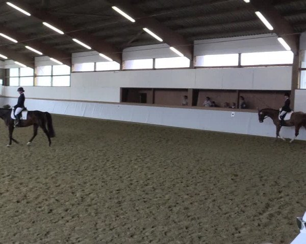 Waltroper Reitertage 2015