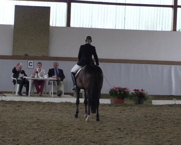 Waltroper Reitertage 2015