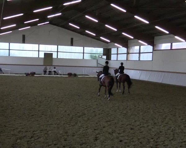 Waltroper Reitertage 2015