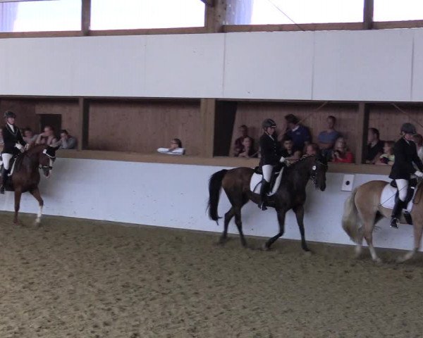 Waltroper Reitertage 2015