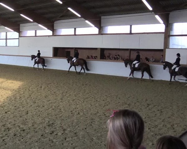 Waltroper Reitertage 2015