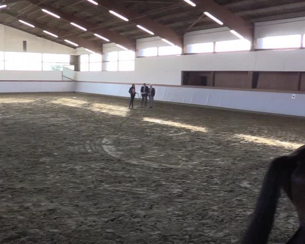 Waltroper Reitertage 2015