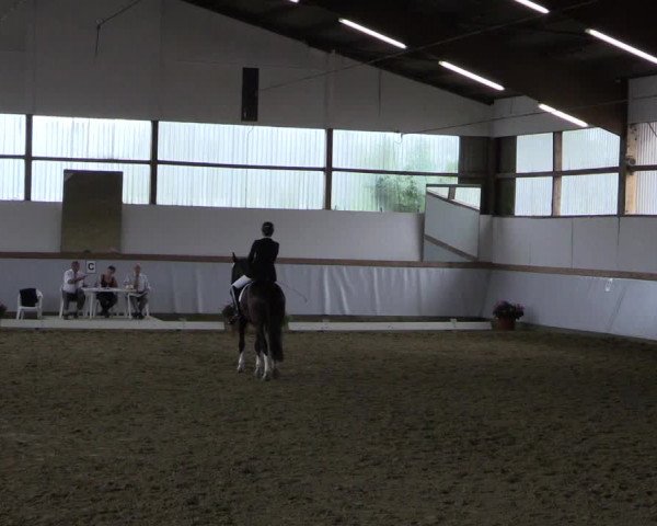Waltroper Reitertage 2015