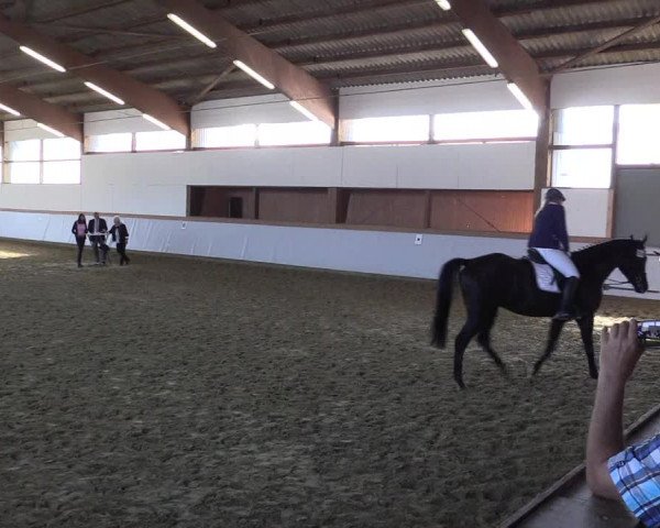 Waltroper Reitertage 2015