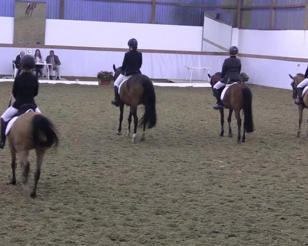 Waltroper Reitertage 2015