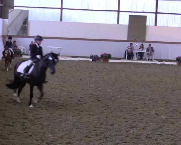 Waltroper Reitertage 2015