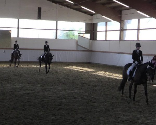 Waltroper Reitertage 2015