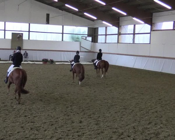 Waltroper Reitertage 2015