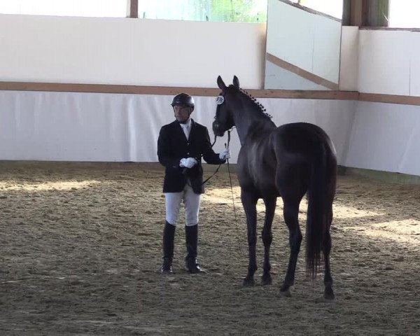 Waltroper Reitertage 2015