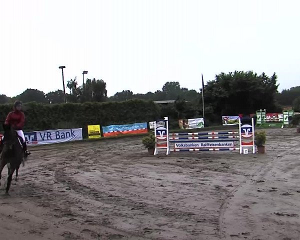 Reitturnier Tangstedt/Pinneberg 2015