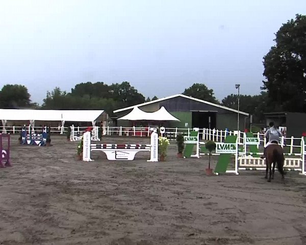Reitturnier Tangstedt/Pinneberg 2015