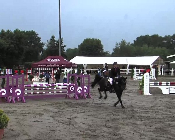 Reitturnier Tangstedt/Pinneberg 2015