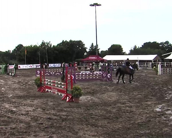 Reitturnier Tangstedt/Pinneberg 2015