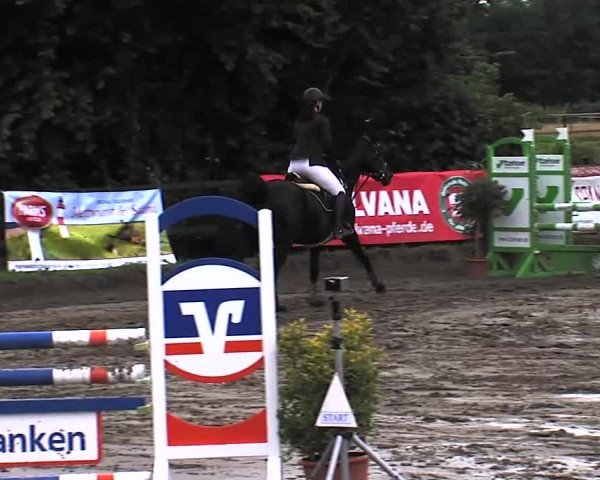 Reitturnier Tangstedt/Pinneberg 2015