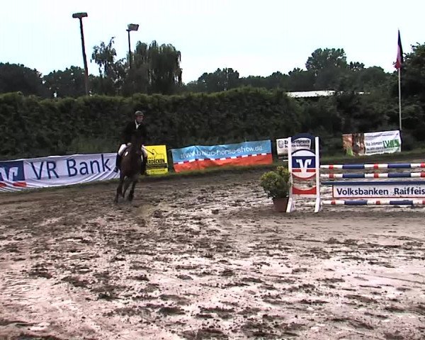 Reitturnier Tangstedt/Pinneberg 2015