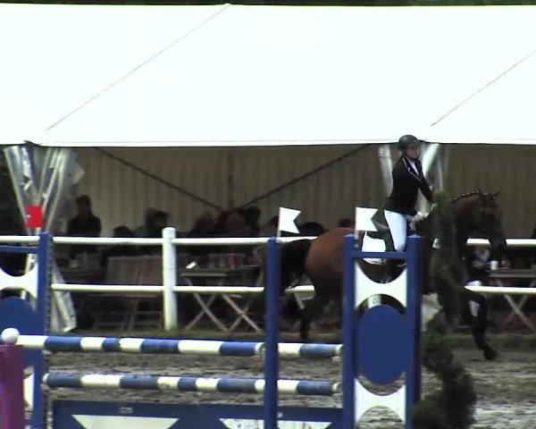 Reitturnier Tangstedt/Pinneberg 2015