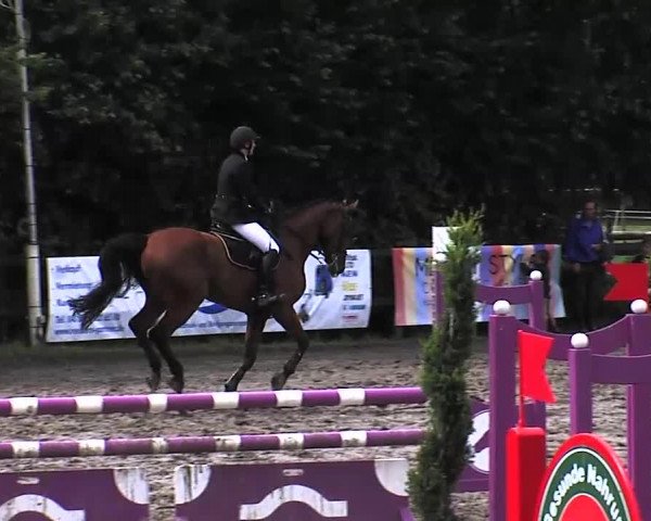 Reitturnier Tangstedt/Pinneberg 2015