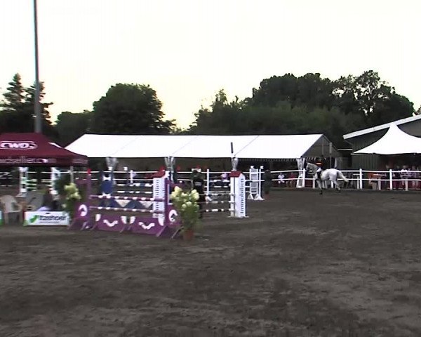 Reitturnier Tangstedt/Pinneberg 2015