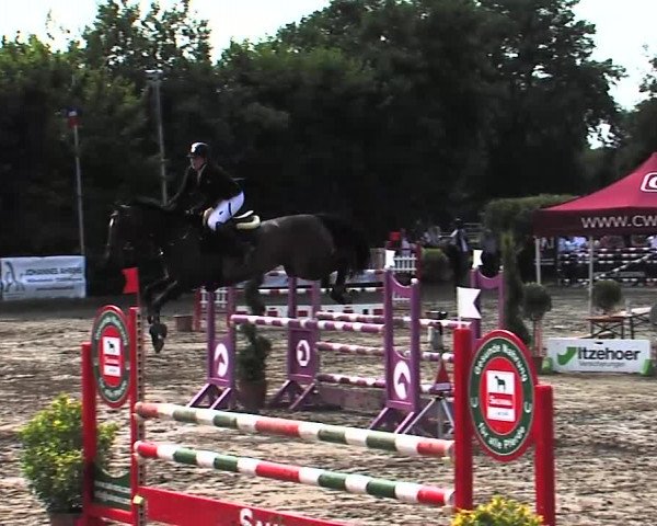 Reitturnier Tangstedt/Pinneberg 2015