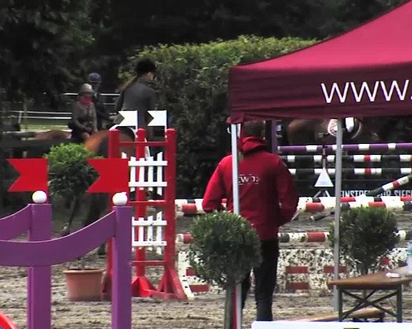 Reitturnier Tangstedt/Pinneberg 2015