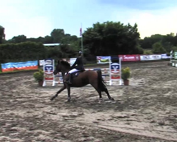 Reitturnier Tangstedt/Pinneberg 2015