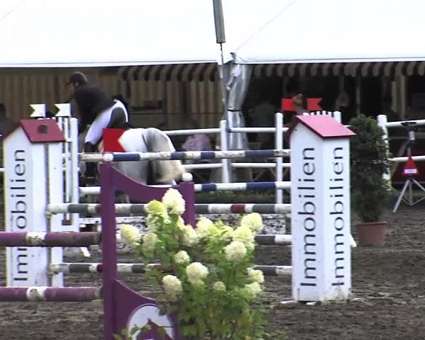Reitturnier Tangstedt/Pinneberg 2015
