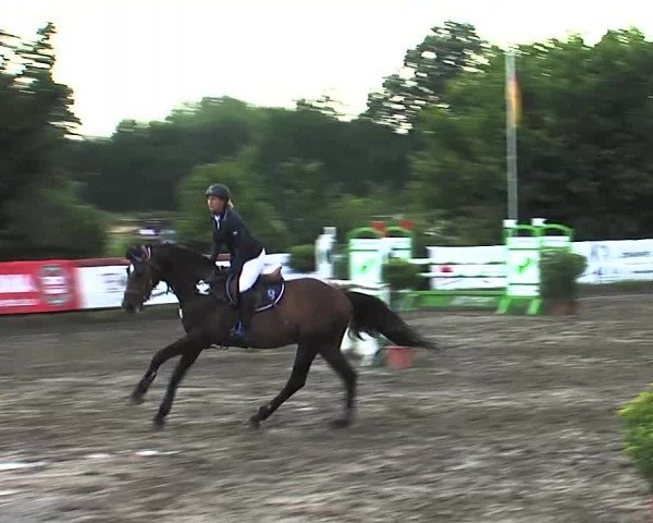 Reitturnier Tangstedt/Pinneberg 2015
