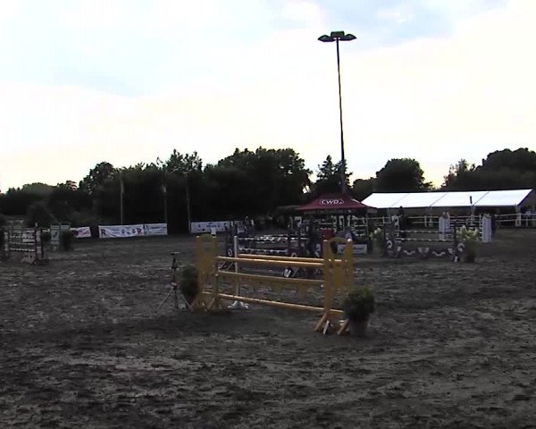 Reitturnier Tangstedt/Pinneberg 2015