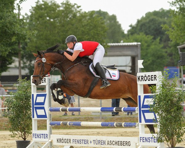 jumper Condrofina (Hanoverian, 2009, from Contendro I)