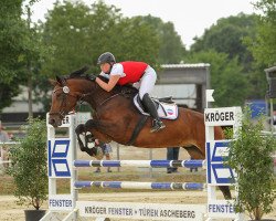 jumper Condrofina (Hanoverian, 2009, from Contendro I)