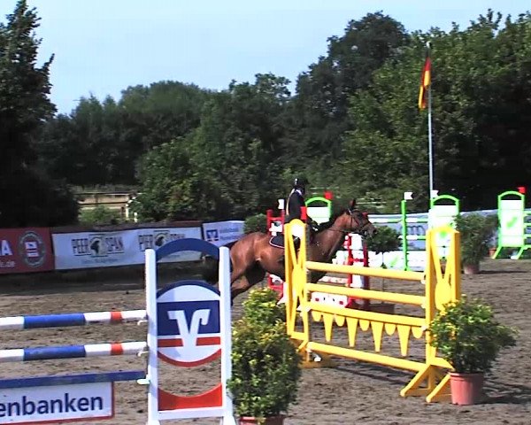 Reitturnier Tangstedt/Pinneberg 2015