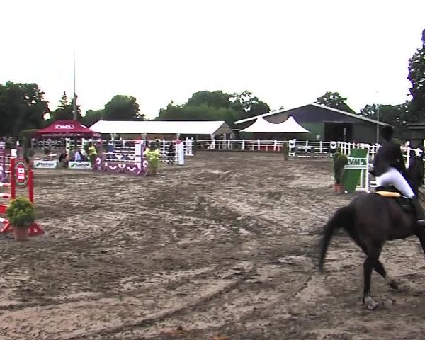 Reitturnier Tangstedt/Pinneberg 2015