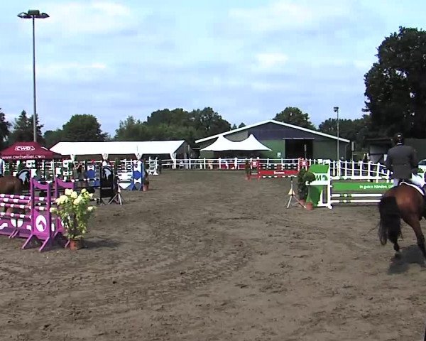 Reitturnier Tangstedt/Pinneberg 2015