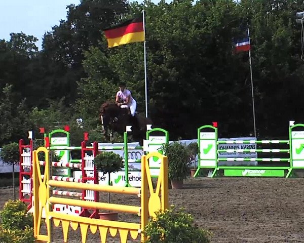 Reitturnier Tangstedt/Pinneberg 2015