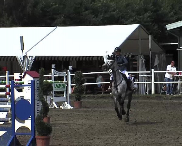 Reitturnier Tangstedt/Pinneberg 2015