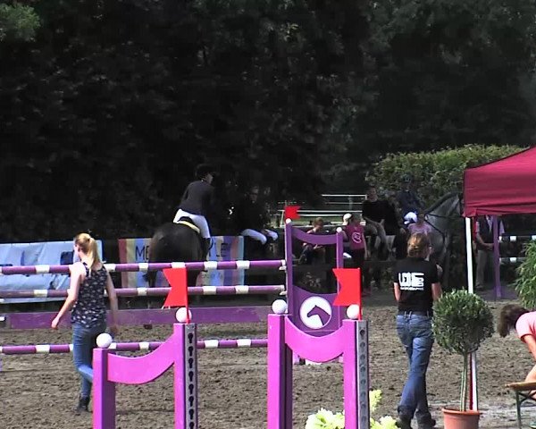 Reitturnier Tangstedt/Pinneberg 2015