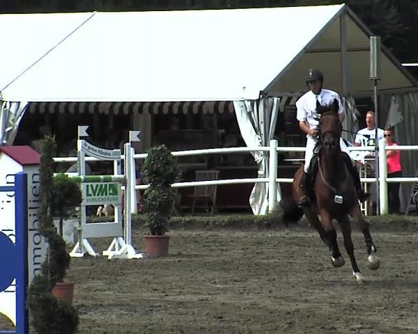 Reitturnier Tangstedt/Pinneberg 2015