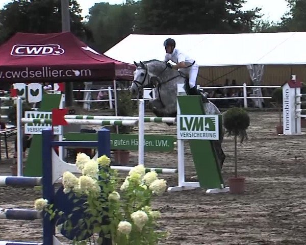 Reitturnier Tangstedt/Pinneberg 2015