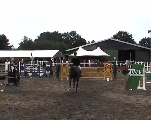 Reitturnier Tangstedt/Pinneberg 2015