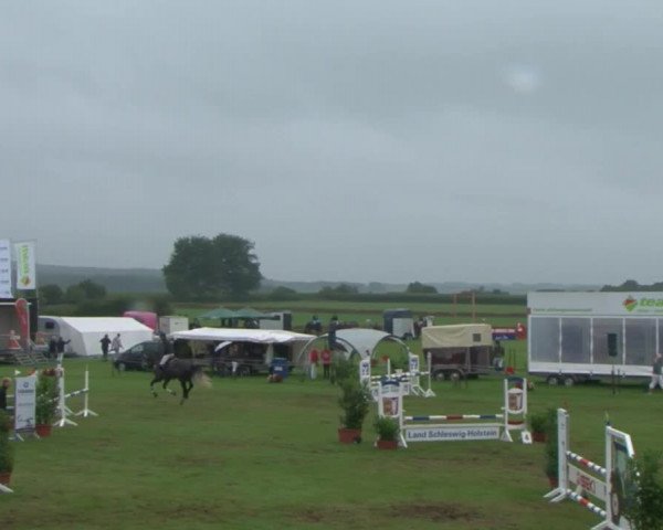 Reitturnier Behrendorf 2015