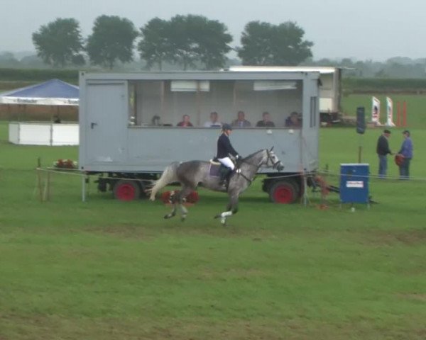 Reitturnier Behrendorf 2015