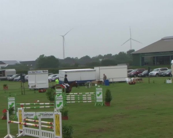Reitturnier Behrendorf 2015